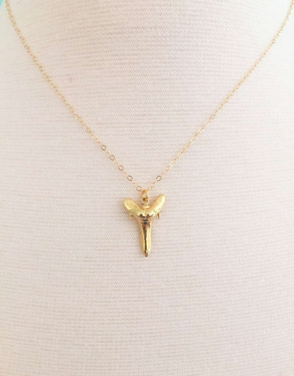 Dainty Genuine Shark Tooth Necklace