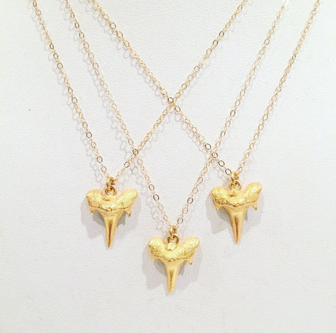 Dainty Gold Plated Cast Shark Tooth Necklace